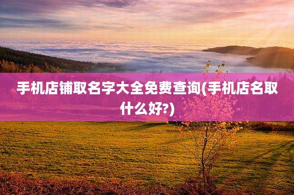 手机店铺取名字大全免费查询(手机店名取什么好?)
