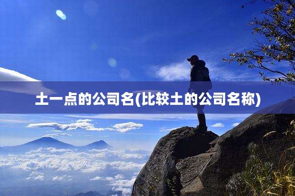 土一点的公司名(比较土的公司名称)