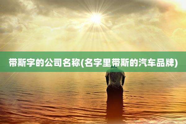 带斯字的公司名称(名字里带斯的汽车品牌)
