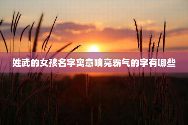 姓武的女孩名字寓意响亮霸气的字有哪些