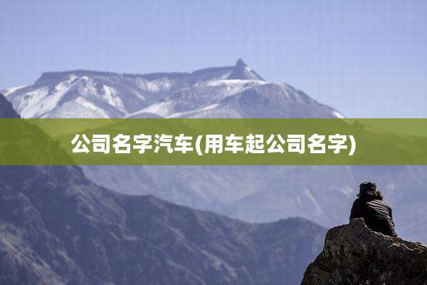 公司名字汽车(用车起公司名字)