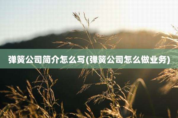 弹簧公司简介怎么写(弹簧公司怎么做业务)