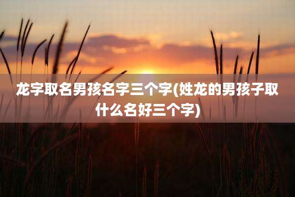 龙字取名男孩名字三个字(姓龙的男孩子取什么名好三个字)