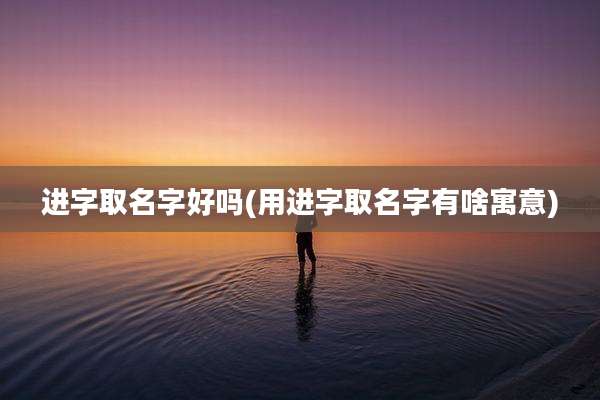 进字取名字好吗(用进字取名字有啥寓意)
