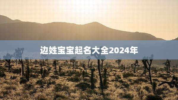 边姓宝宝起名大全2024年