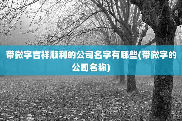 带微字吉祥顺利的公司名字有哪些(带微字的公司名称)