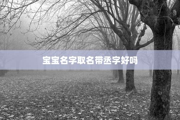 宝宝名字取名带丞字好吗