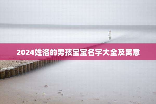 2024姓洛的男孩宝宝名字大全及寓意