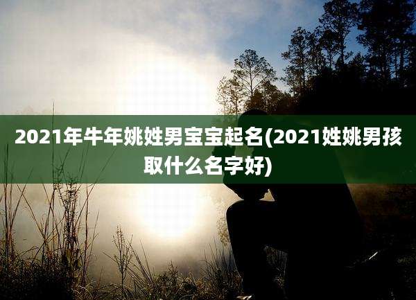 2021年牛年姚姓男宝宝起名(2021姓姚男孩取什么名字好)
