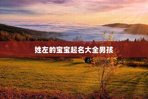 姓左的宝宝起名大全男孩