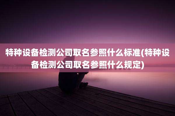 特种设备检测公司取名参照什么标准(特种设备检测公司取名参照什么规定)