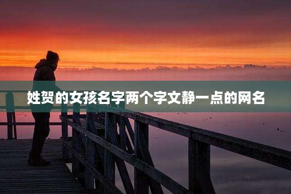 姓贺的女孩名字两个字文静一点的网名