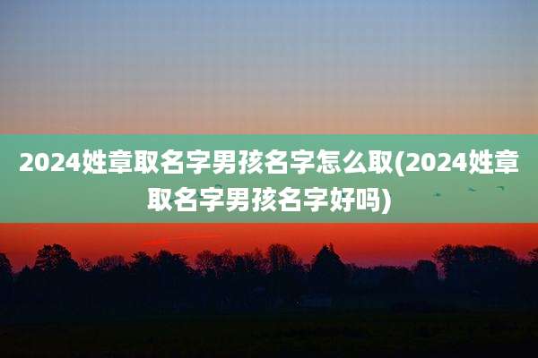 2024姓章取名字男孩名字怎么取(2024姓章取名字男孩名字好吗)