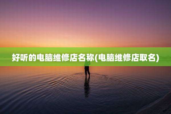 好听的电脑维修店名称(电脑维修店取名)