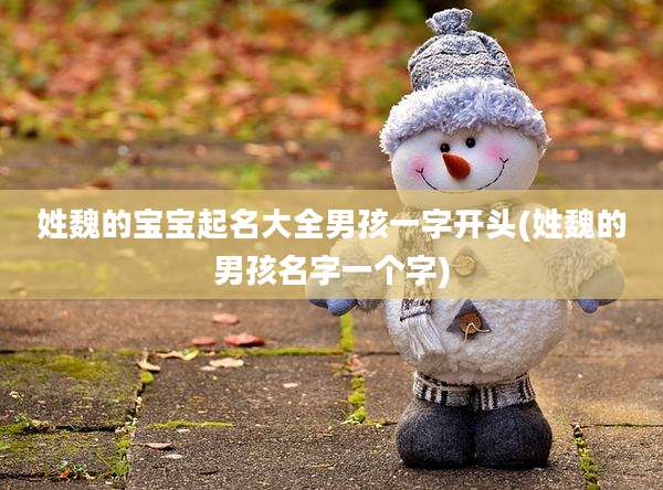 姓魏的宝宝起名大全男孩一字开头(姓魏的男孩名字一个字)