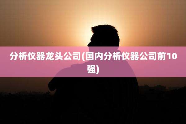 分析仪器龙头公司(国内分析仪器公司前10强)