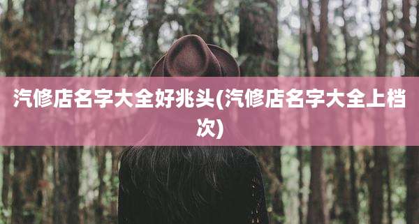 汽修店名字大全好兆头(汽修店名字大全上档次)