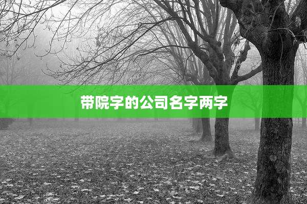 带院字的公司名字两字