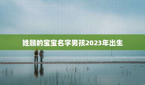 姓顾的宝宝名字男孩2023年出生