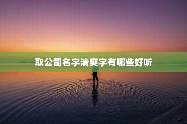取公司名字清爽字有哪些好听