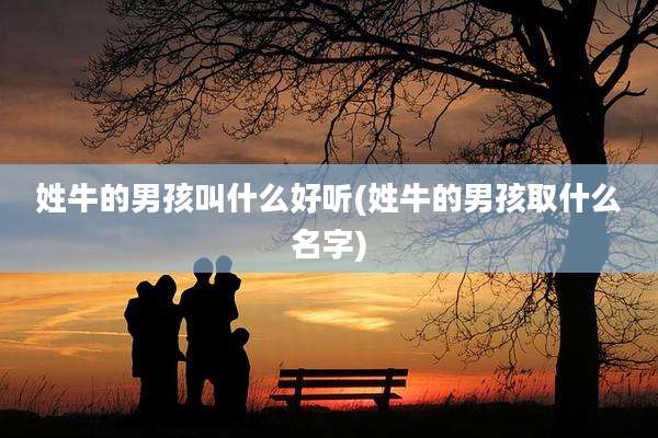 姓牛的男孩叫什么好听(姓牛的男孩取什么名字)