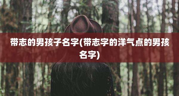 带志的男孩子名字(带志字的洋气点的男孩名字)