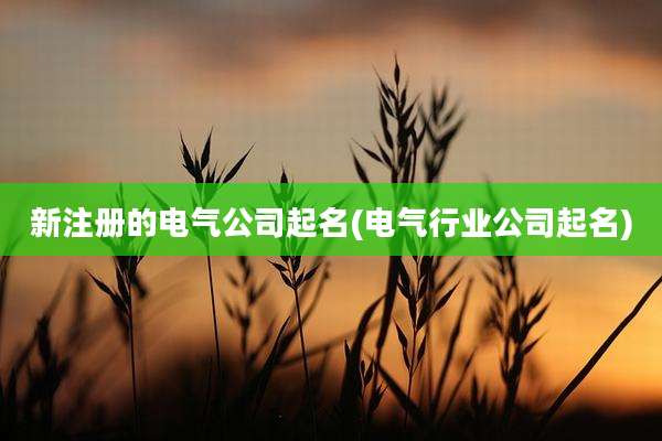 新注册的电气公司起名(电气行业公司起名)