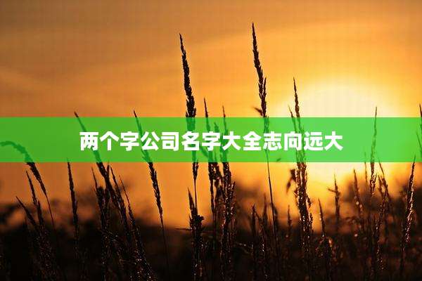 两个字公司名字大全志向远大