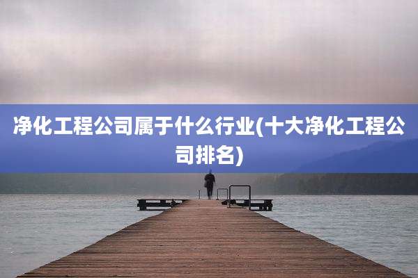 净化工程公司属于什么行业(十大净化工程公司排名)