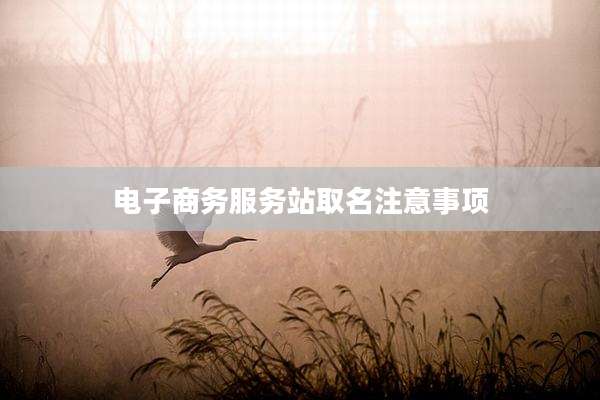 电子商务服务站取名注意事项