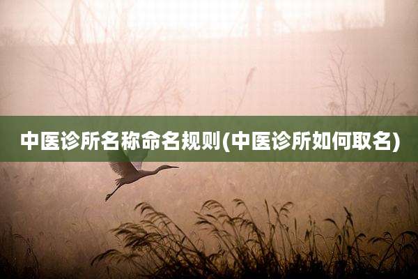 中医诊所名称命名规则(中医诊所如何取名)