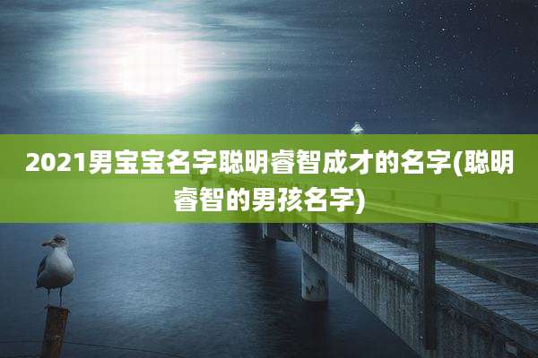 2021男宝宝名字聪明睿智成才的名字(聪明睿智的男孩名字)