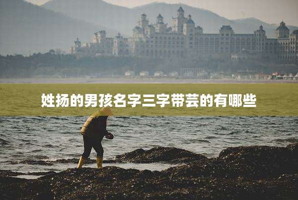 姓扬的男孩名字三字带芸的有哪些