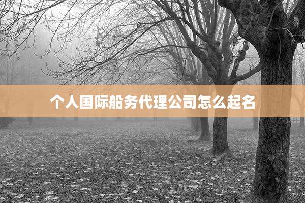 个人国际船务代理公司怎么起名