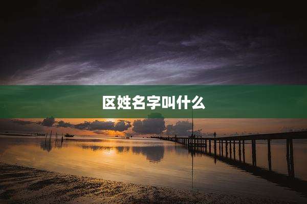 区姓名字叫什么