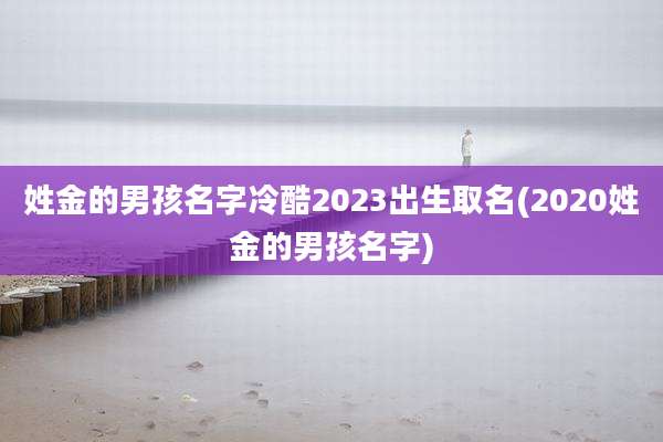 姓金的男孩名字冷酷2023出生取名(2020姓金的男孩名字)