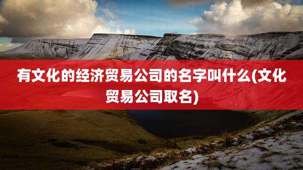 有文化的经济贸易公司的名字叫什么(文化贸易公司取名)