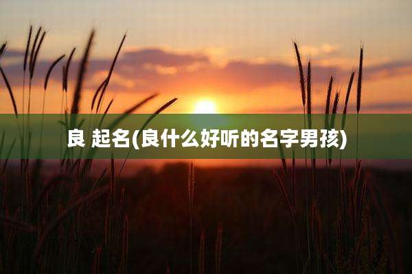 良 起名(良什么好听的名字男孩)