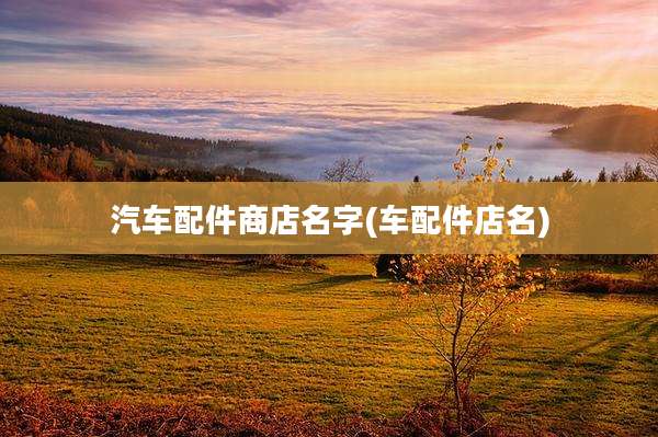 汽车配件商店名字(车配件店名)