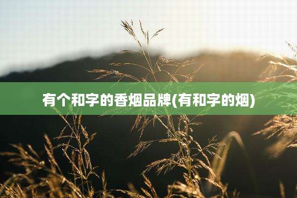 有个和字的香烟品牌(有和字的烟)