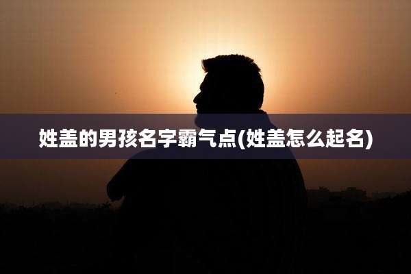姓盖的男孩名字霸气点(姓盖怎么起名)