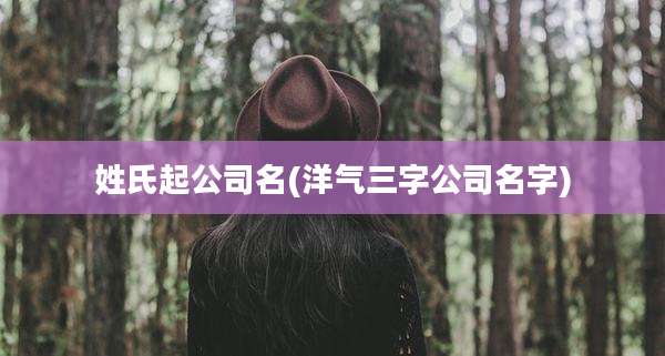 姓氏起公司名(洋气三字公司名字)