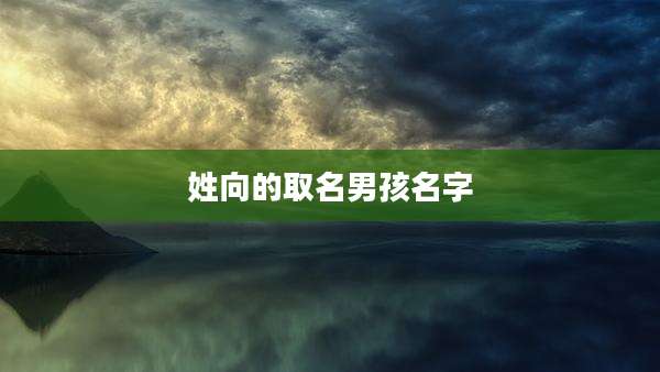 姓向的取名男孩名字