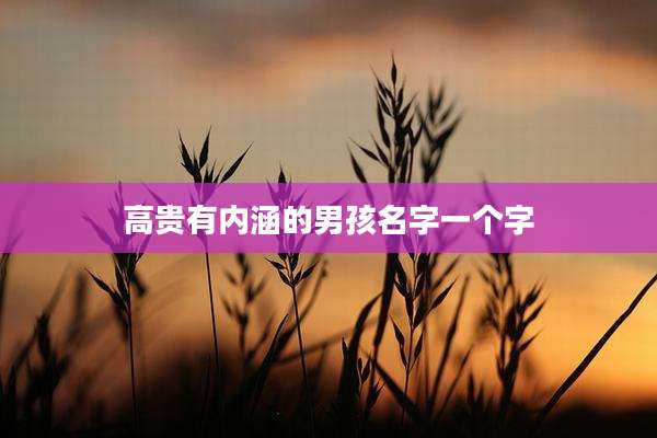 高贵有内涵的男孩名字一个字