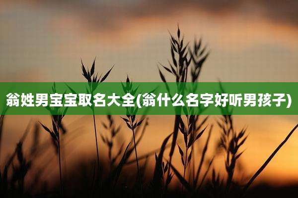 翁姓男宝宝取名大全(翁什么名字好听男孩子)