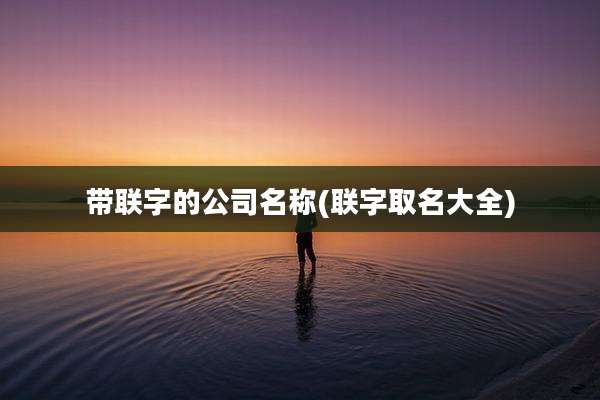 带联字的公司名称(联字取名大全)