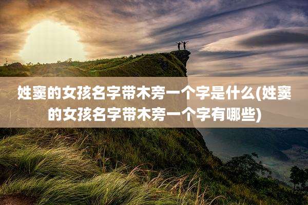 姓窦的女孩名字带木旁一个字是什么(姓窦的女孩名字带木旁一个字有哪些)