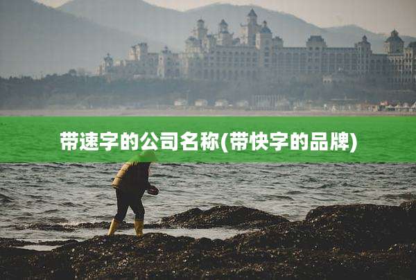 带速字的公司名称(带快字的品牌)