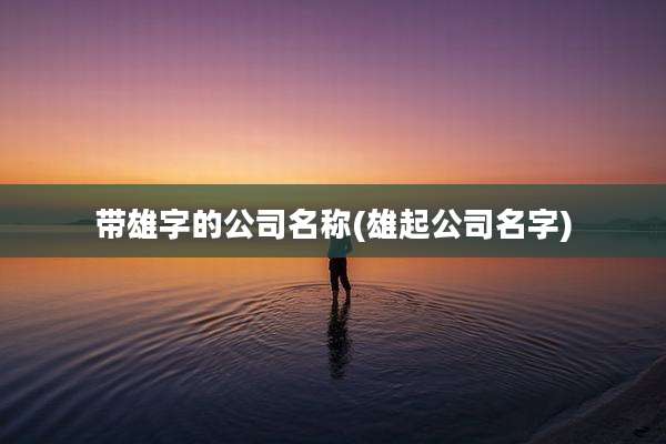 带雄字的公司名称(雄起公司名字)
