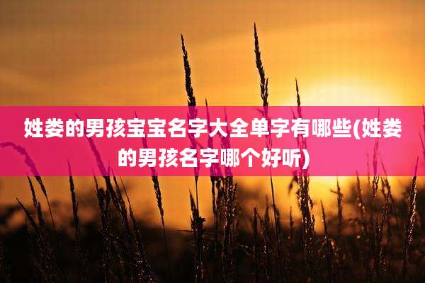 姓娄的男孩宝宝名字大全单字有哪些(姓娄的男孩名字哪个好听)